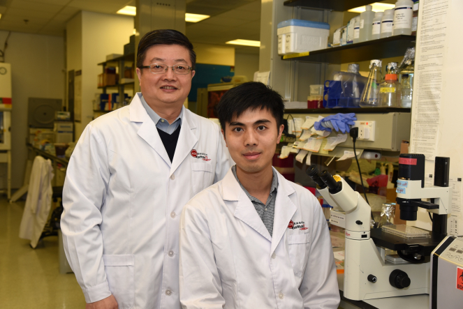 是項研究由香港大學李嘉誠醫學院微生物學系教授、愛滋病研究所所長陳志偉教授及香港大學李嘉誠醫學院微生物學系博士後研究員張嘉龍博士領導。